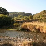 Primera excursión a Obón (2007)