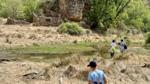 Romería a Santa Quiteria 2024