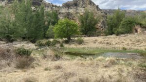 Romería a Santa Quiteria 2025