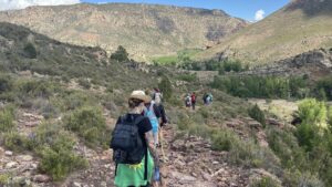 Romería a Santa Quiteria 2025