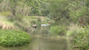 Romería a Santa Quiteria 2025